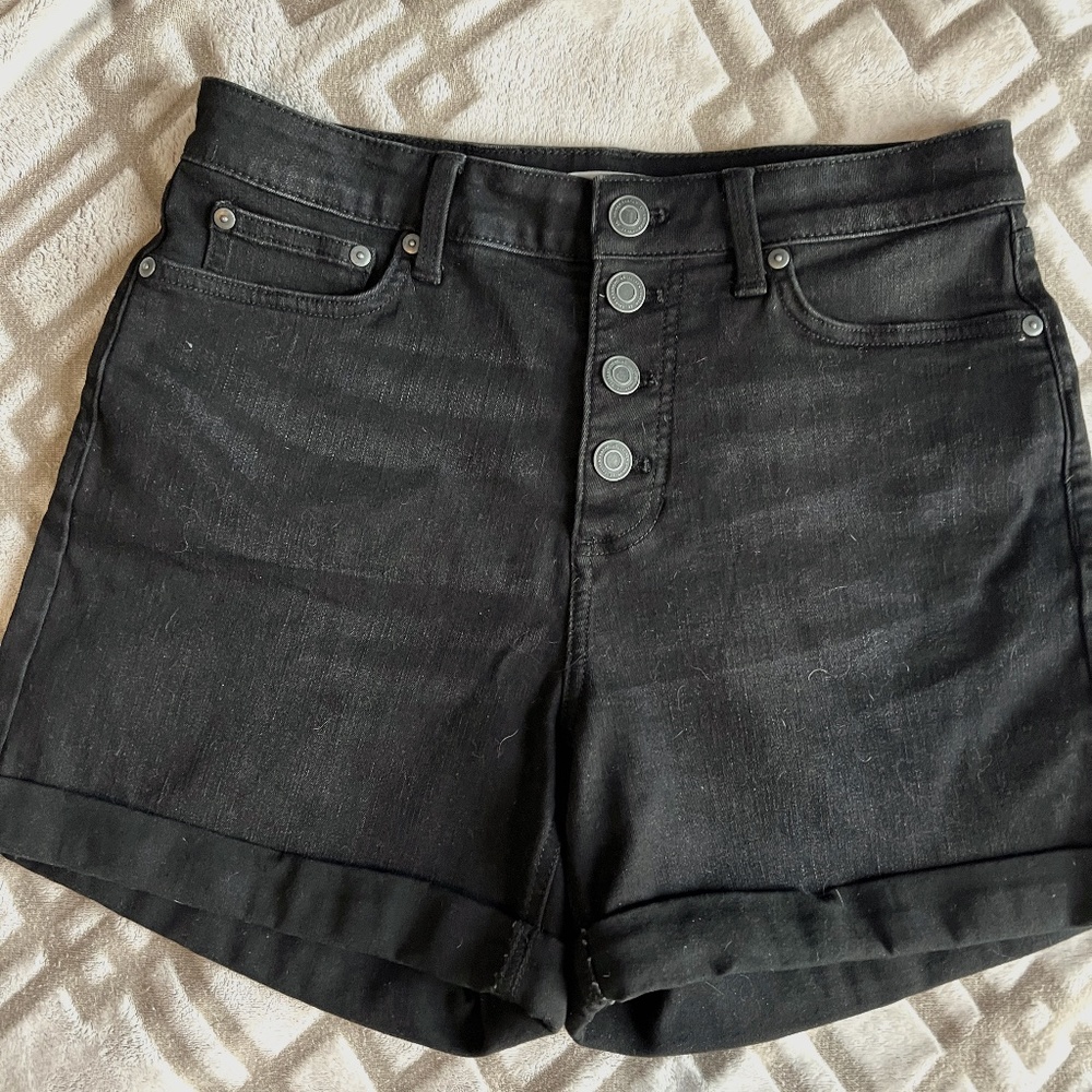 Lauren Conrad.  Shorts Black  Size 8